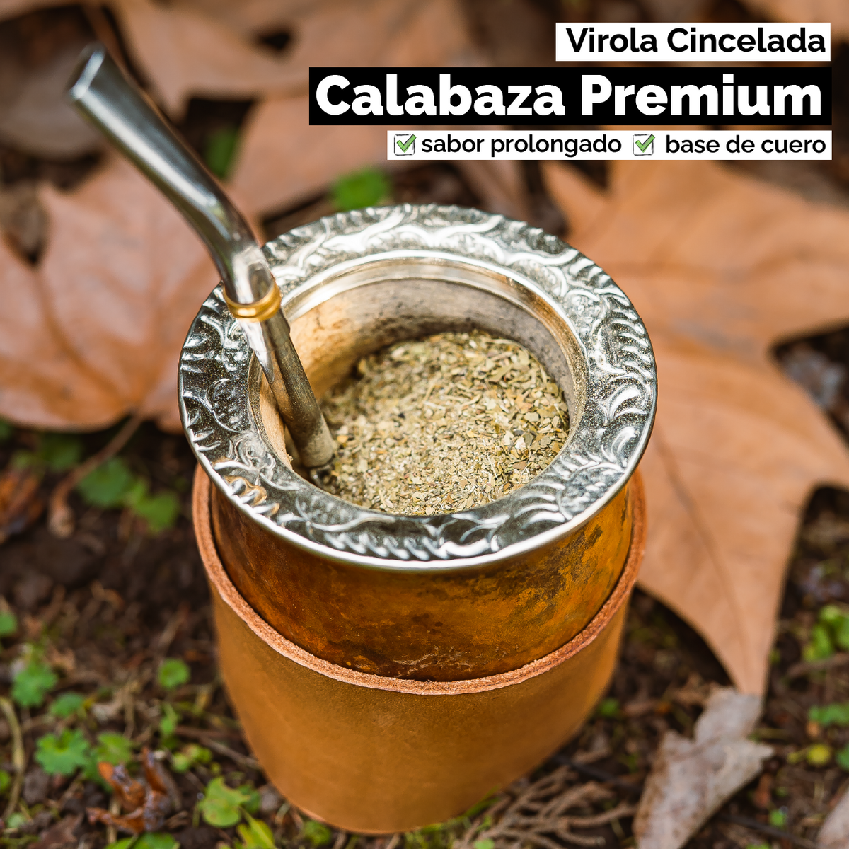 Mate Calabaza Criollo (con base) - Virola Alpaca Cincelada