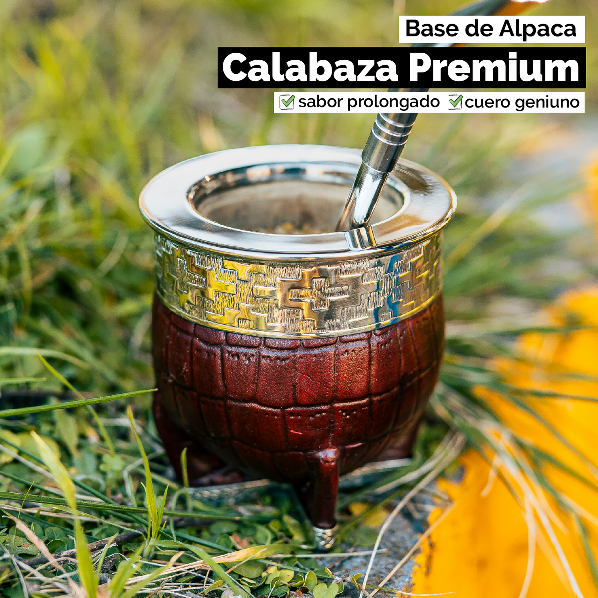 Mate Imperial (Calabaza) con Cuero Labado - Base y Virola de Alpaca